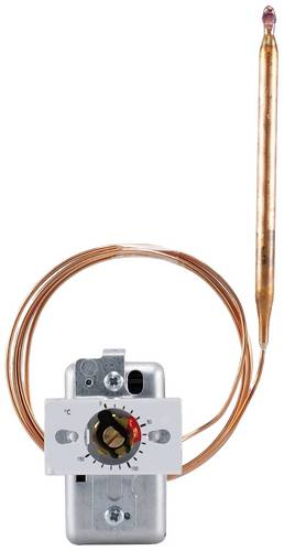 Jumo 60000497 Temperaturwächter