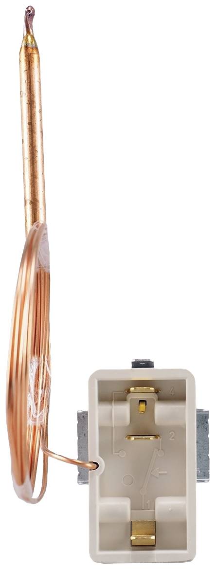 Jumo 60000497 Temperaturwächter