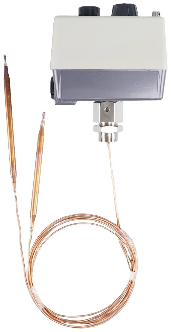 Jumo 60001876 Doppelthermostat