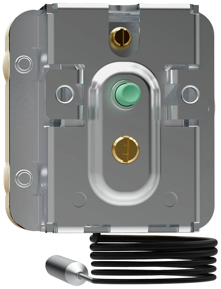 Jumo 60003432 Temperaturbegrenzer