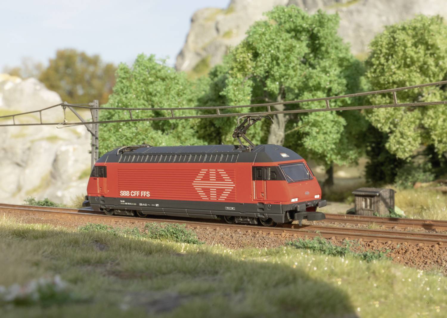 Eine rote Lokomotive der SBB fährt auf einem Gleis durch eine grüne Landschaft mit Bäumen und Felsen im Hintergrund.