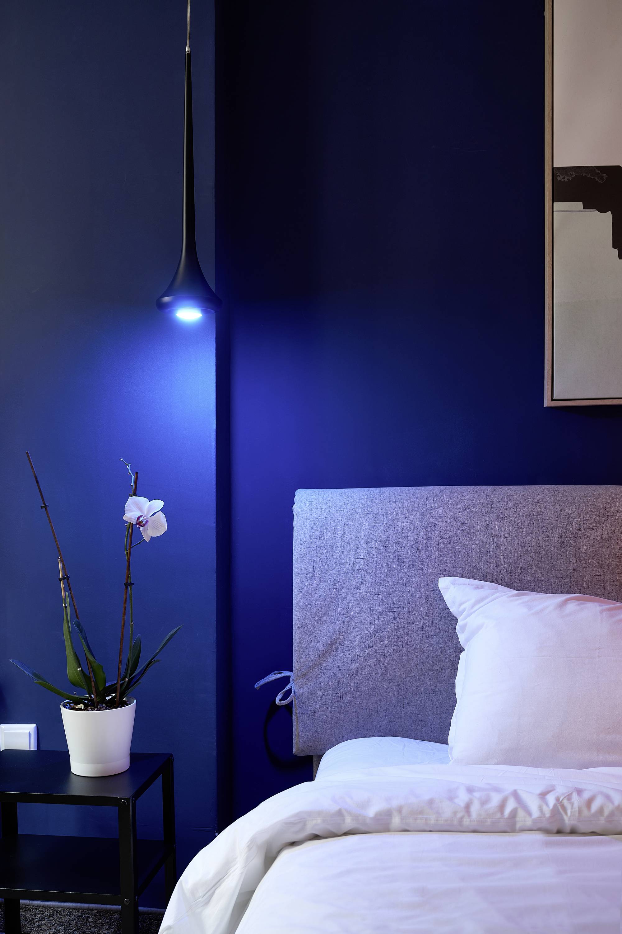 Ein modernes Schlafzimmer mit dunkelblauer Wand, ein grau-gepolstertes Kopfteil und eine leuchtende Hängelampe. Eine Orchidee auf dem Nachttisch.