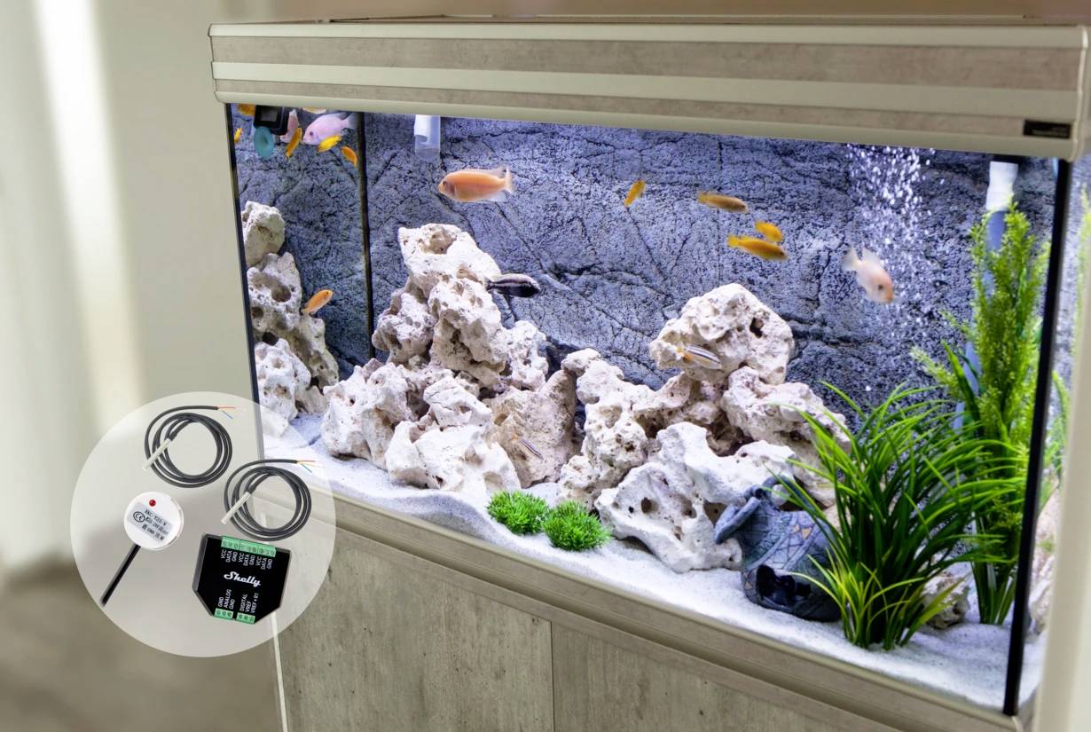 Ein Aquarium mit Steinen, Pflanzen und bunten Fischen. Im Vordergrund ein Temperatur- und Feuchtigkeitsmesser, der Werte anzeigt.