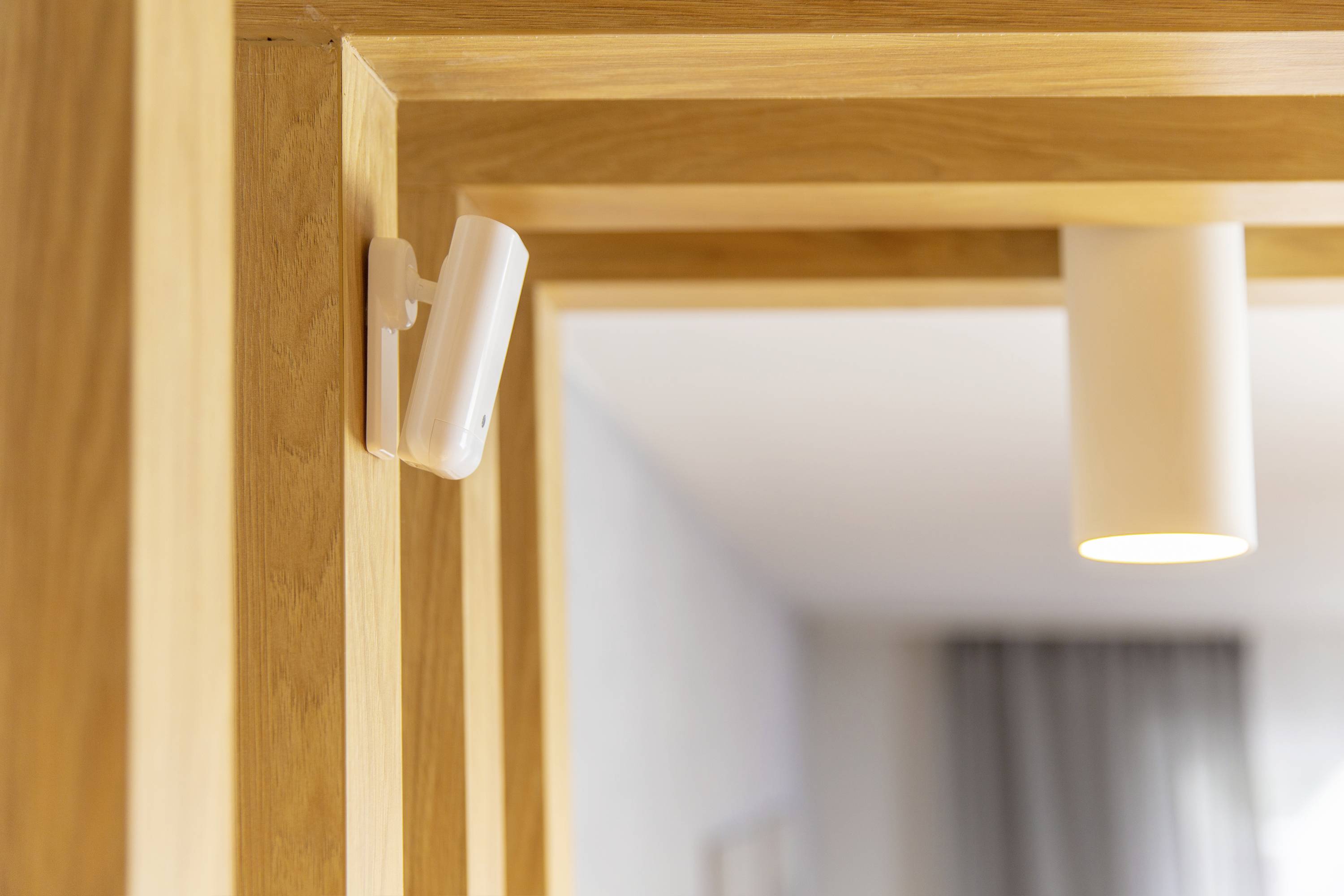 Shelly Motion 2 Bewegungsmelder Wi-Fi