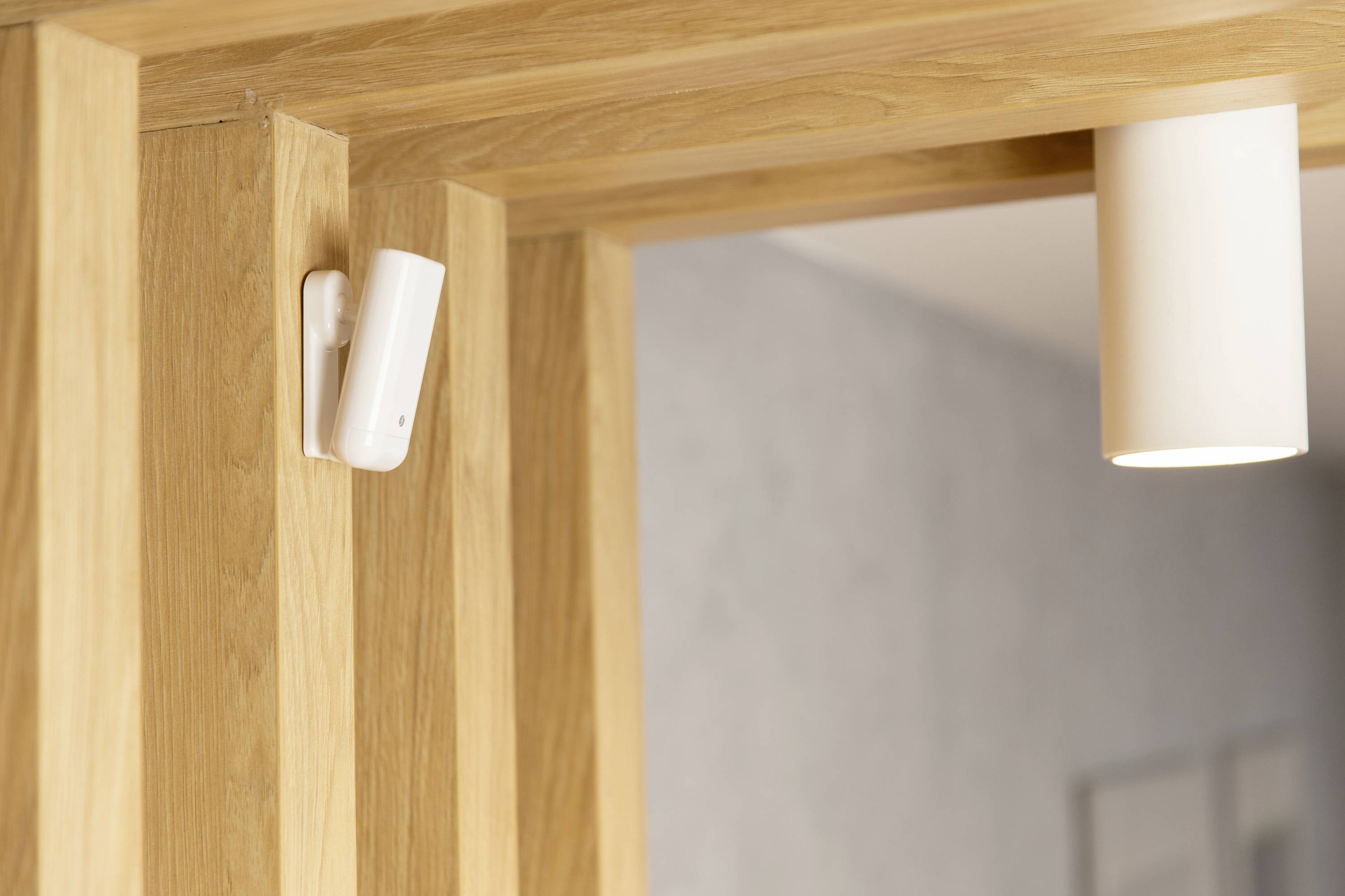 Shelly Motion 2 Bewegungsmelder Wi-Fi