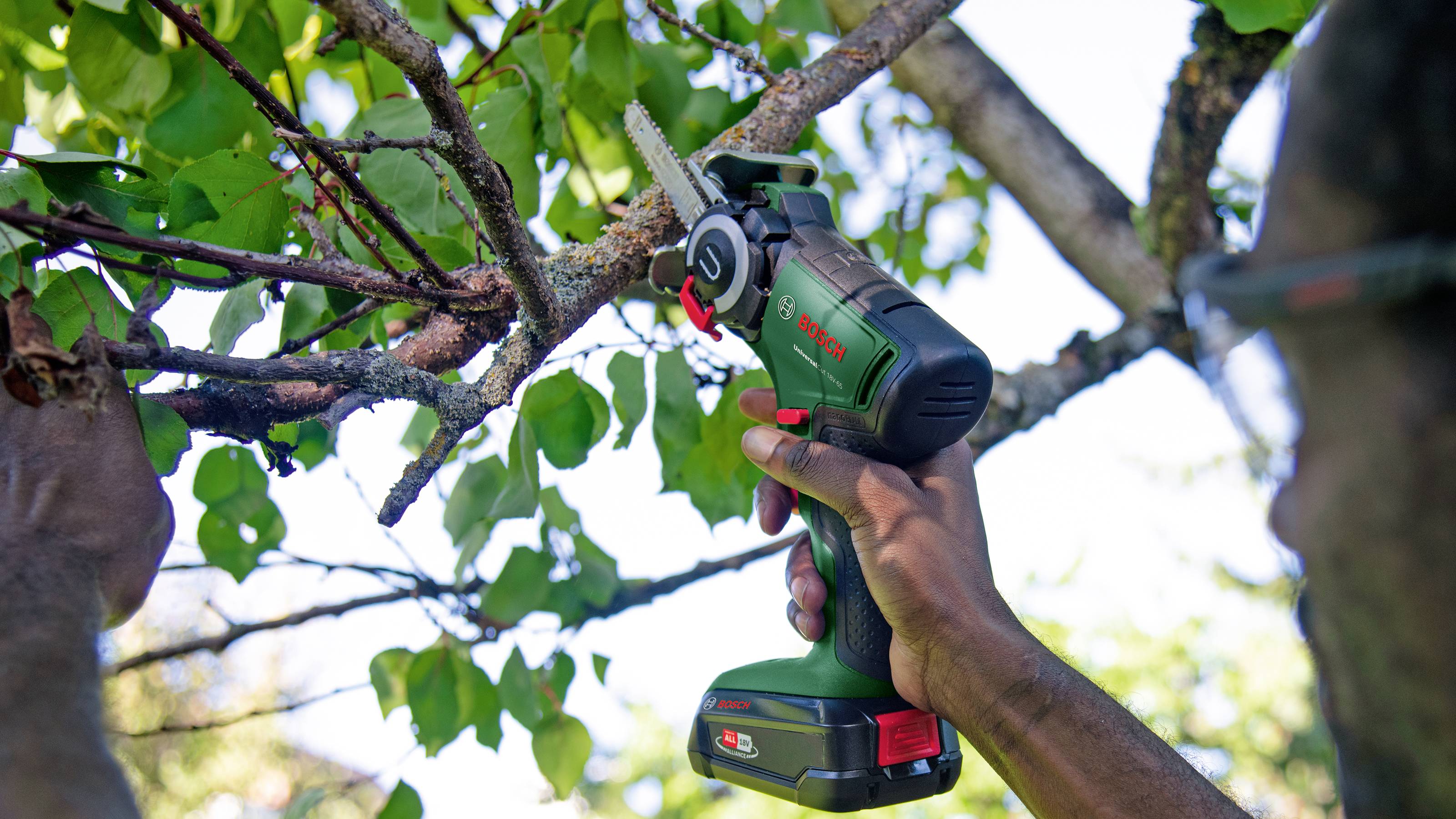 Bosch Home and Garden 06033D5202 Gartensäge inkl. Akku, inkl. Ladegerät