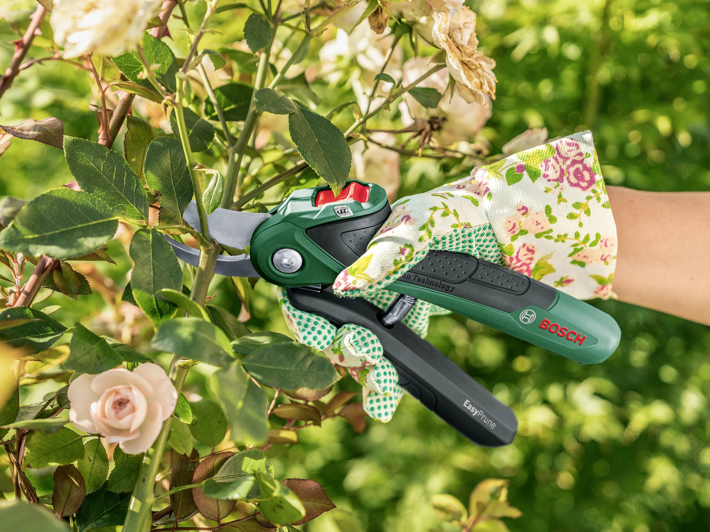 Bosch Home and Garden 06008B2102 EasyPrune Gartenschere 250mm Bypass