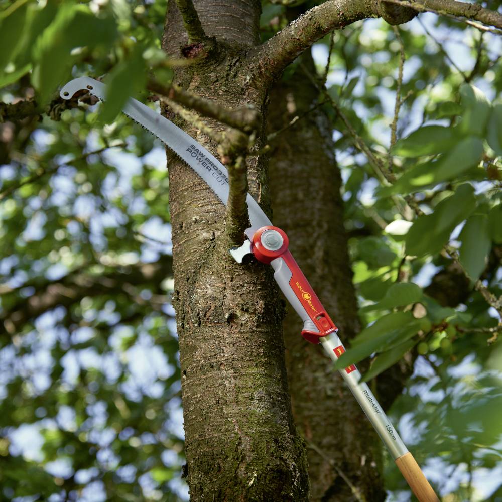 WOLF-Garten 71BCJ002650 Teleskop-Astschere