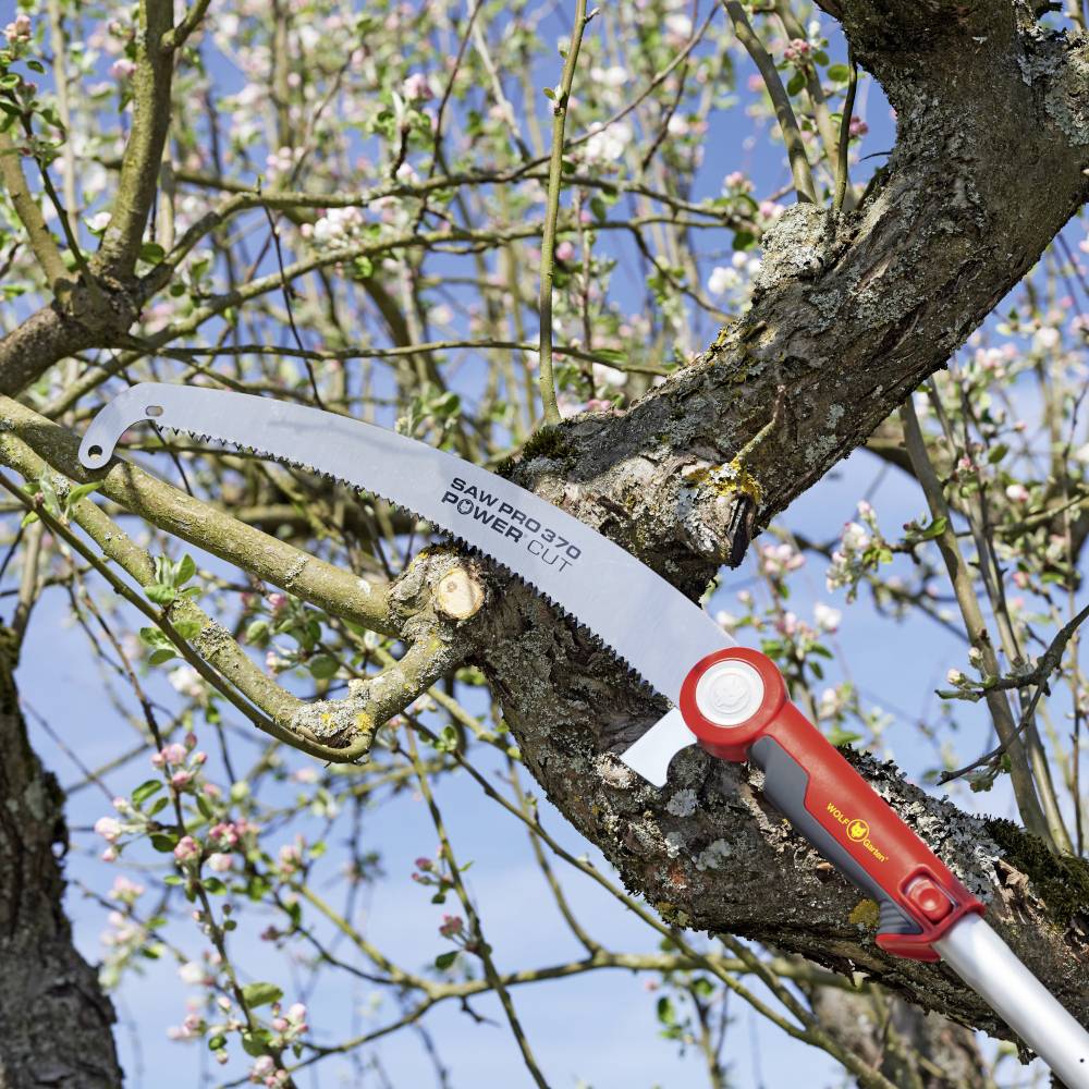 WOLF-Garten 71BCJ001650 Teleskop-Astschere