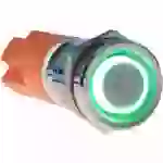 Joy-it Button12E-03 Button12E-03 Tastschalter tastend Grün (Ø x L) 12mm x 26.50mm IK10, IP67 1St. Joy-it Button12E-03 Button12E-03 Tastschalter tastend Grün (Ø x L) 12mm x 26.50mm IK10, IP67 1St.