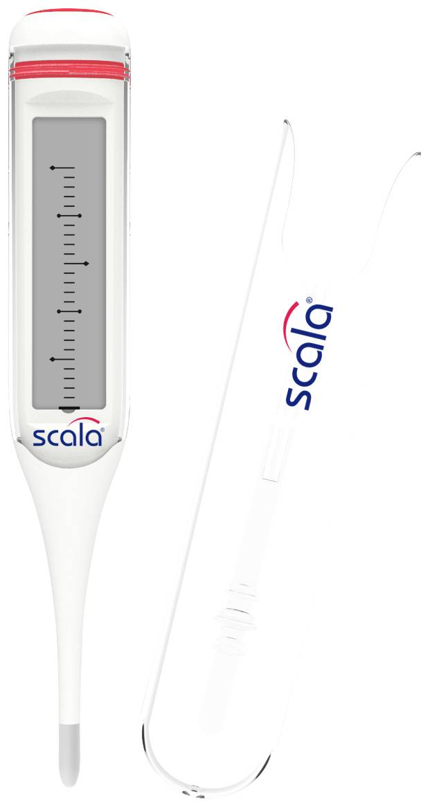 Ein digitales Fieberthermometer mit Logo 'scala', zeigt Gradskala an. Es enthält eine transparente Aufbewahrungshülle rechts.