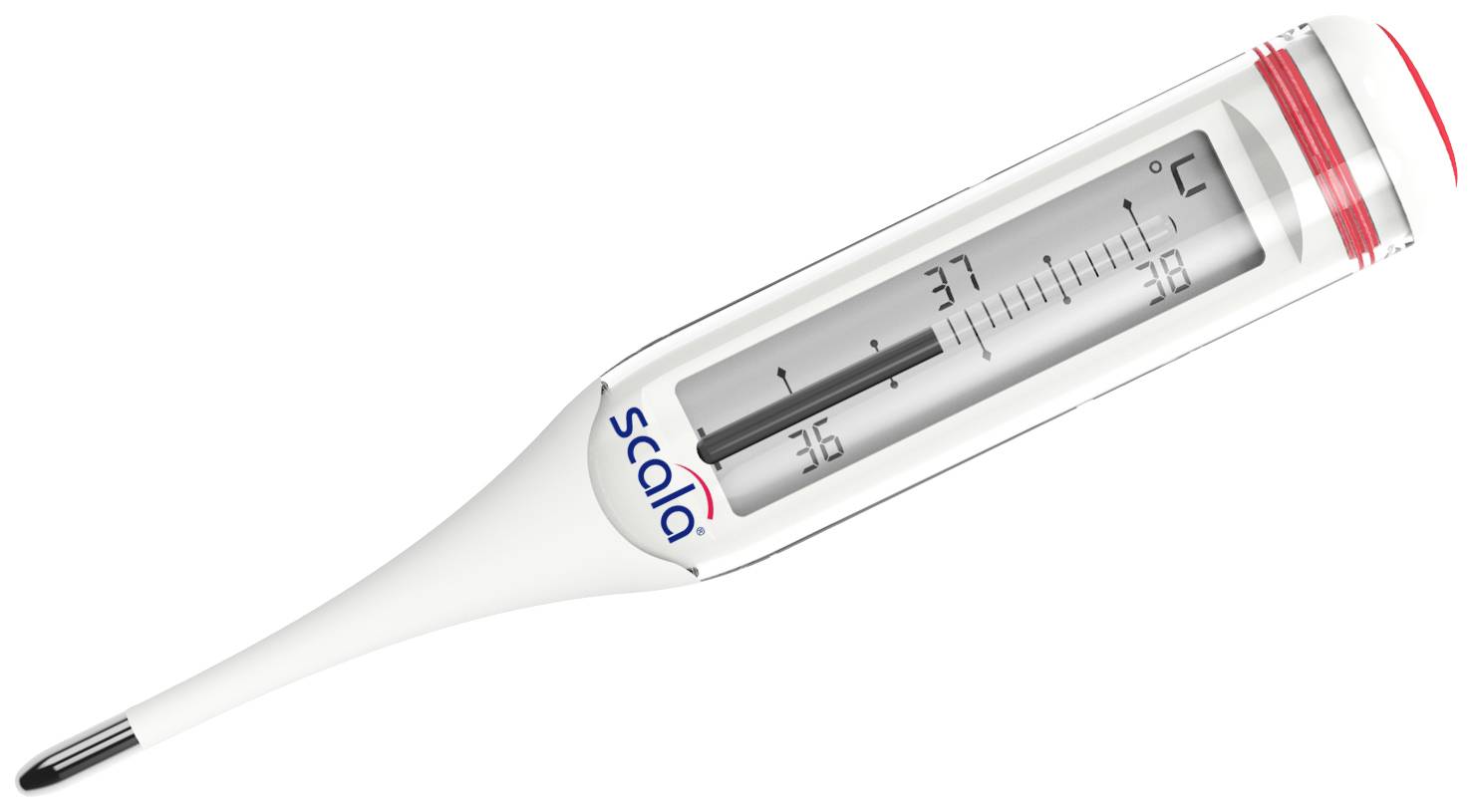 Digitales Thermometer zeigt 36,5 Grad Celsius an. Hauptsächlich weiß mit einer roten Markierung am oberen Ende.