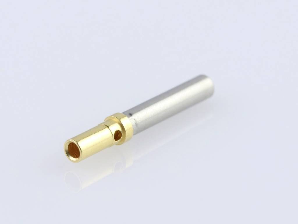 Steckverbinder mit silbernem Metallkörper und goldener Spitze, vor weißem Hintergrund.