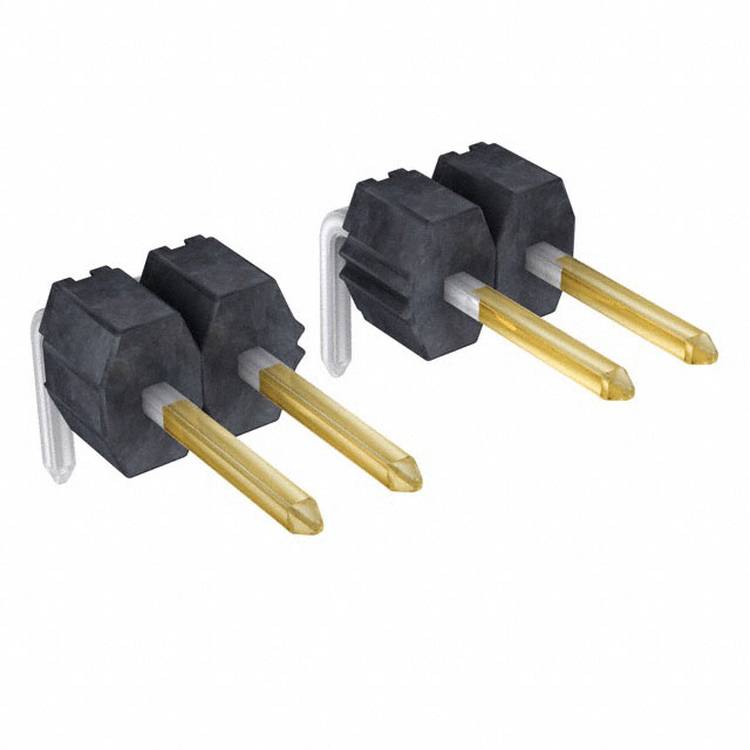 Zwei schwarze elektrische Stecker, jeder mit zwei vergoldeten Kontakten, auf weißem Hintergrund positioniert.