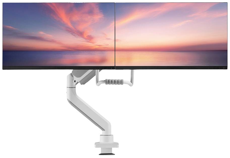 Zwei nebeneinander angebrachte Monitore zeigen einen Sonnenuntergang am Meer. Ein weißer Monitorarm hält die Bildschirme zusammen.