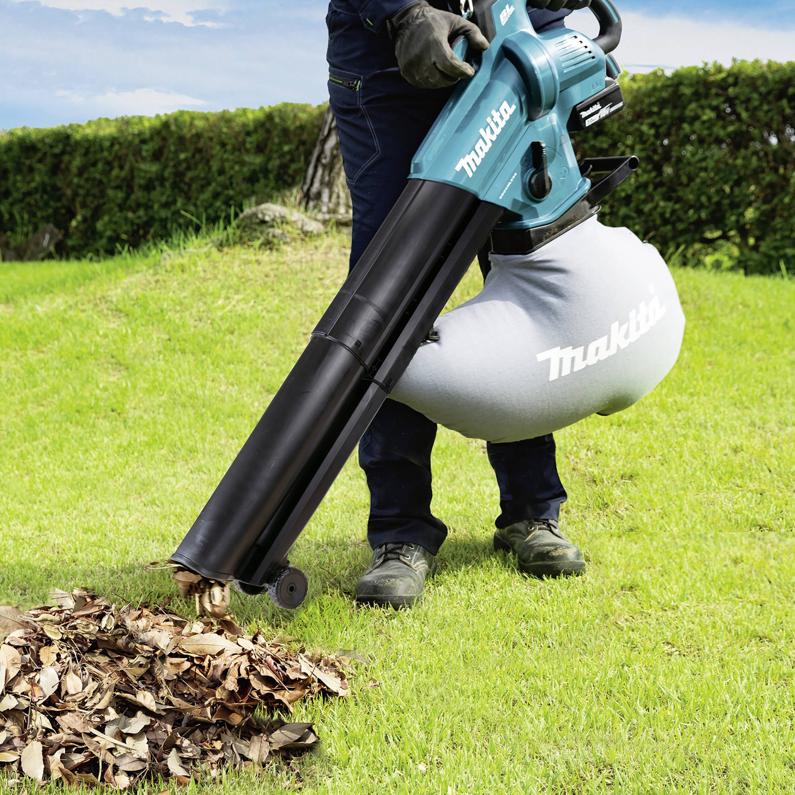 Eine Person benutzt einen blauen Laubsauger, um im Freien einen Haufen Blätter aufzusaugen. Hintergrund mit Hecke und Bäumen.