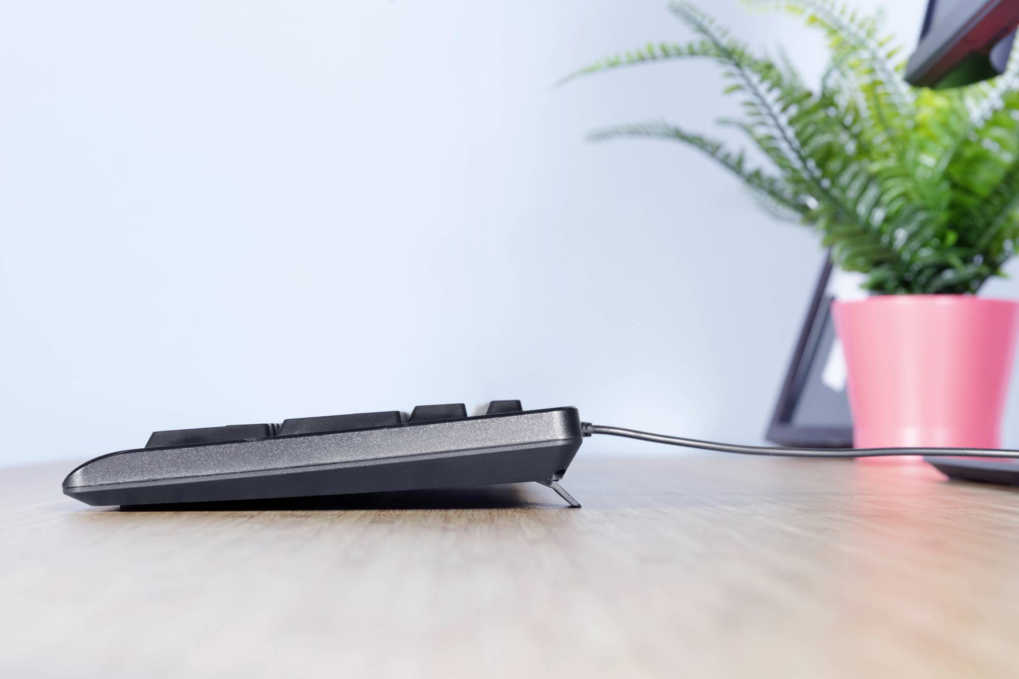 Trust TK-150 Kabelgebunden Tastatur Deutsch, QWERTZ Schwarz mit numerischer Tastatur