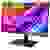 Asus PA328QV IPS LED-Monitor EEK F (A - G) 80cm (31.5 Zoll) 2560 x 1440 Pixel 16:9 5 ms HDMI®, DisplayPort, USB-A