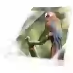 Durable Prospekthülle 265502 DIN A4 Polypropylen Weiß 265502 25St. Durable Prospekthülle 265502 DIN A4 Polypropylen Weiß 265502 25St.