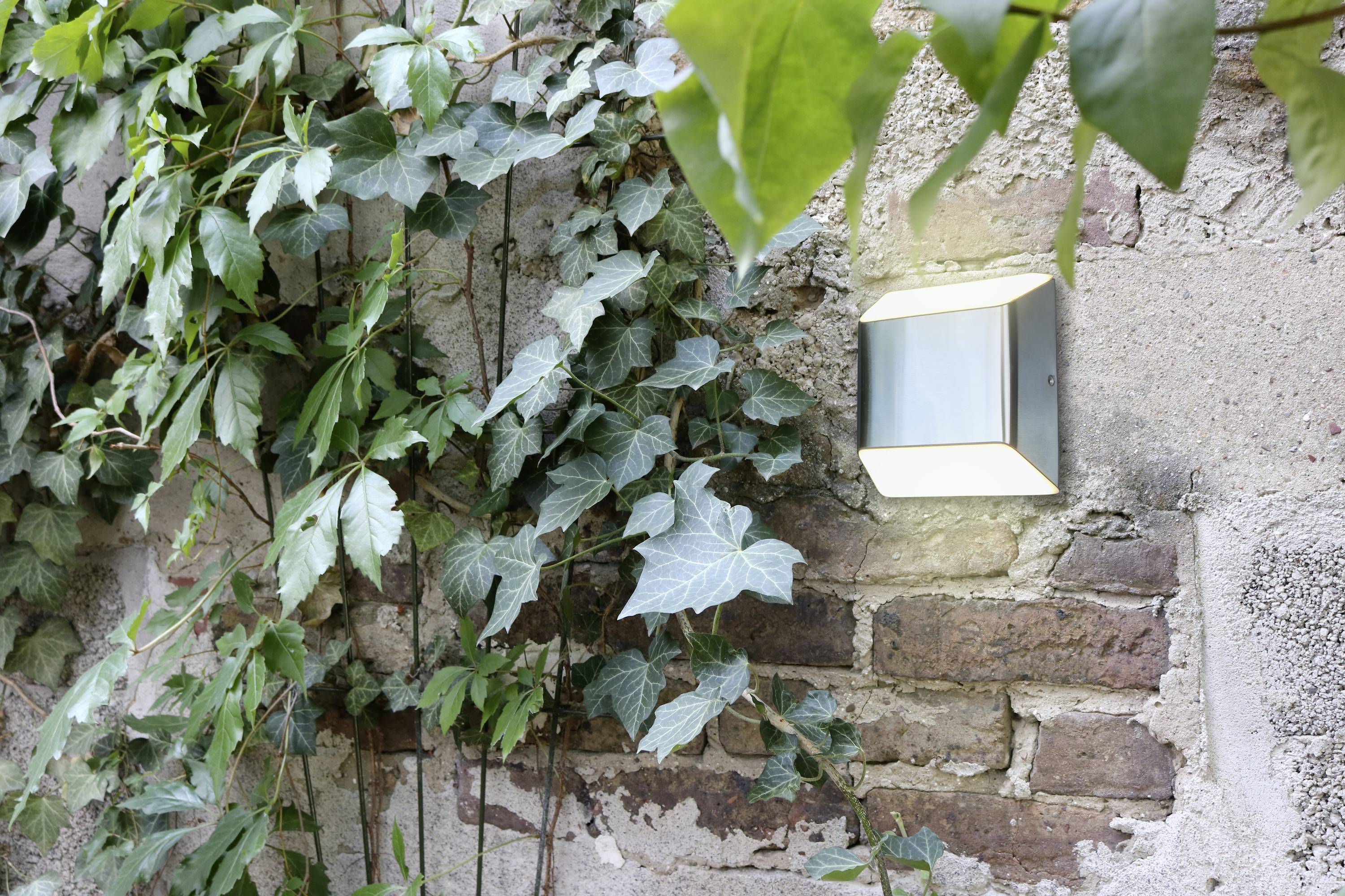 ECO-Light FLOYD 1140113 LED-Außenwandleuchte LED LED 7.00W Edelstahl