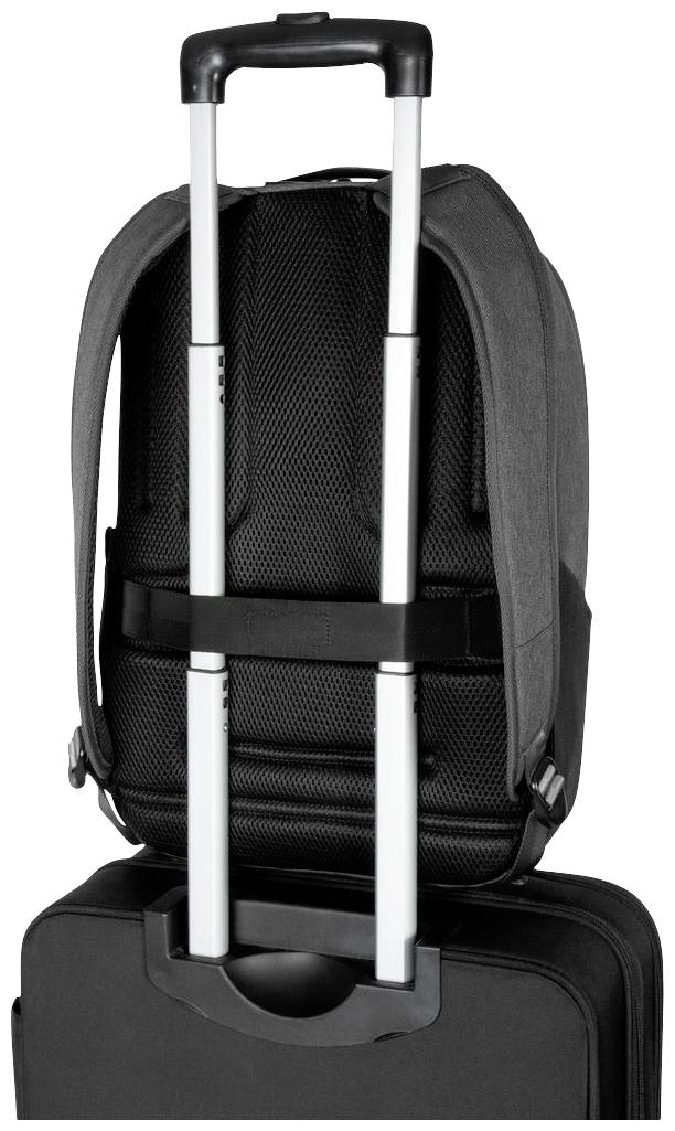 Targus Notebook Rucksack Classic Backpack Passend für maximal: 40,6 cm (16") Schwarz