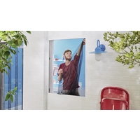 Tesa COMFORT 55388-00500-01 Fliegengitter (B x H) 130 cm x 150 cm Anthrazit 2 St. Tesa COMFORT 55388-00500-01 Fliegengitter (B x H) 130 cm x 150 cm Anthrazit 2 St.