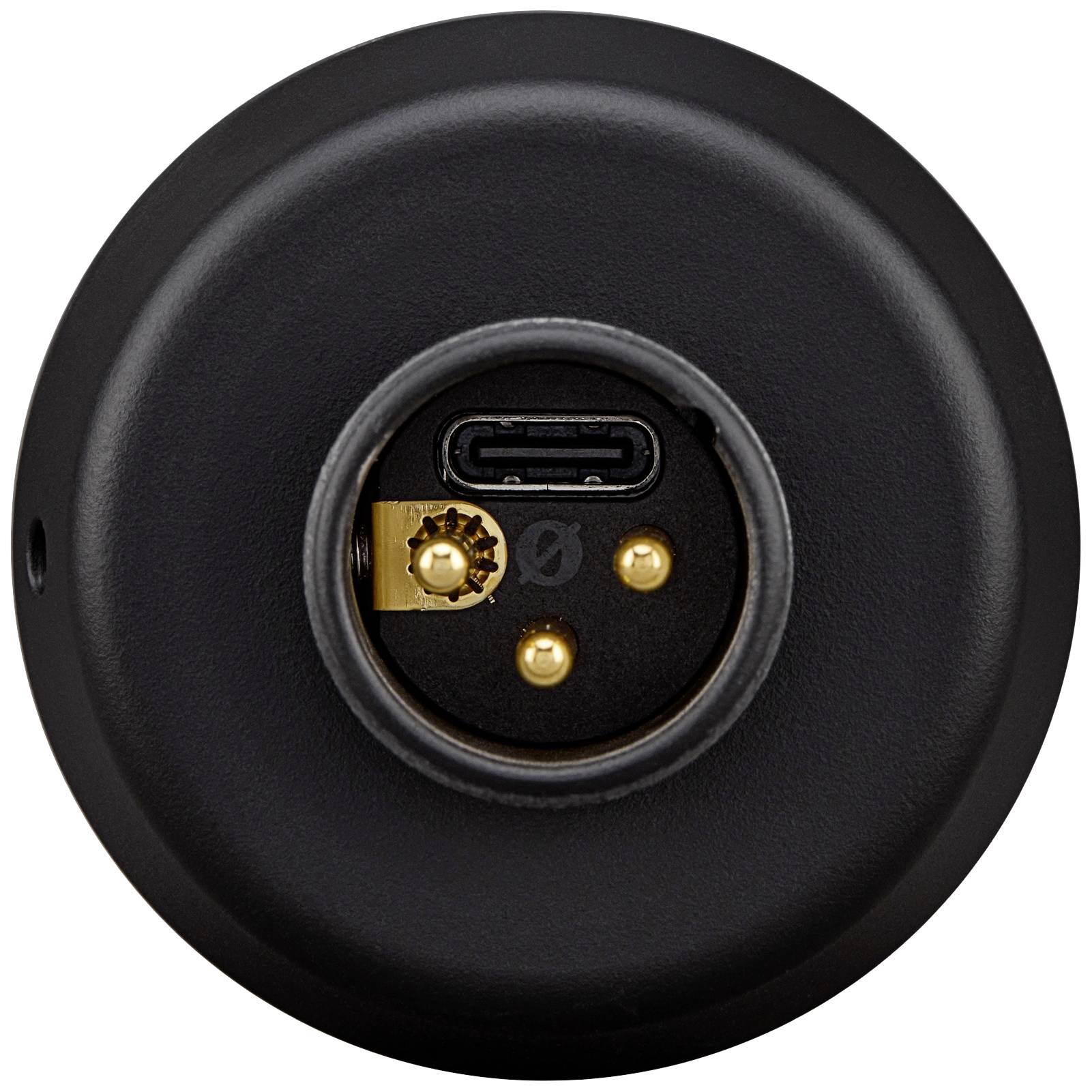 Ein runder schwarzer Ladeanschluss mit USB-C-Anschluss und zwei goldenen Ladekontakten.