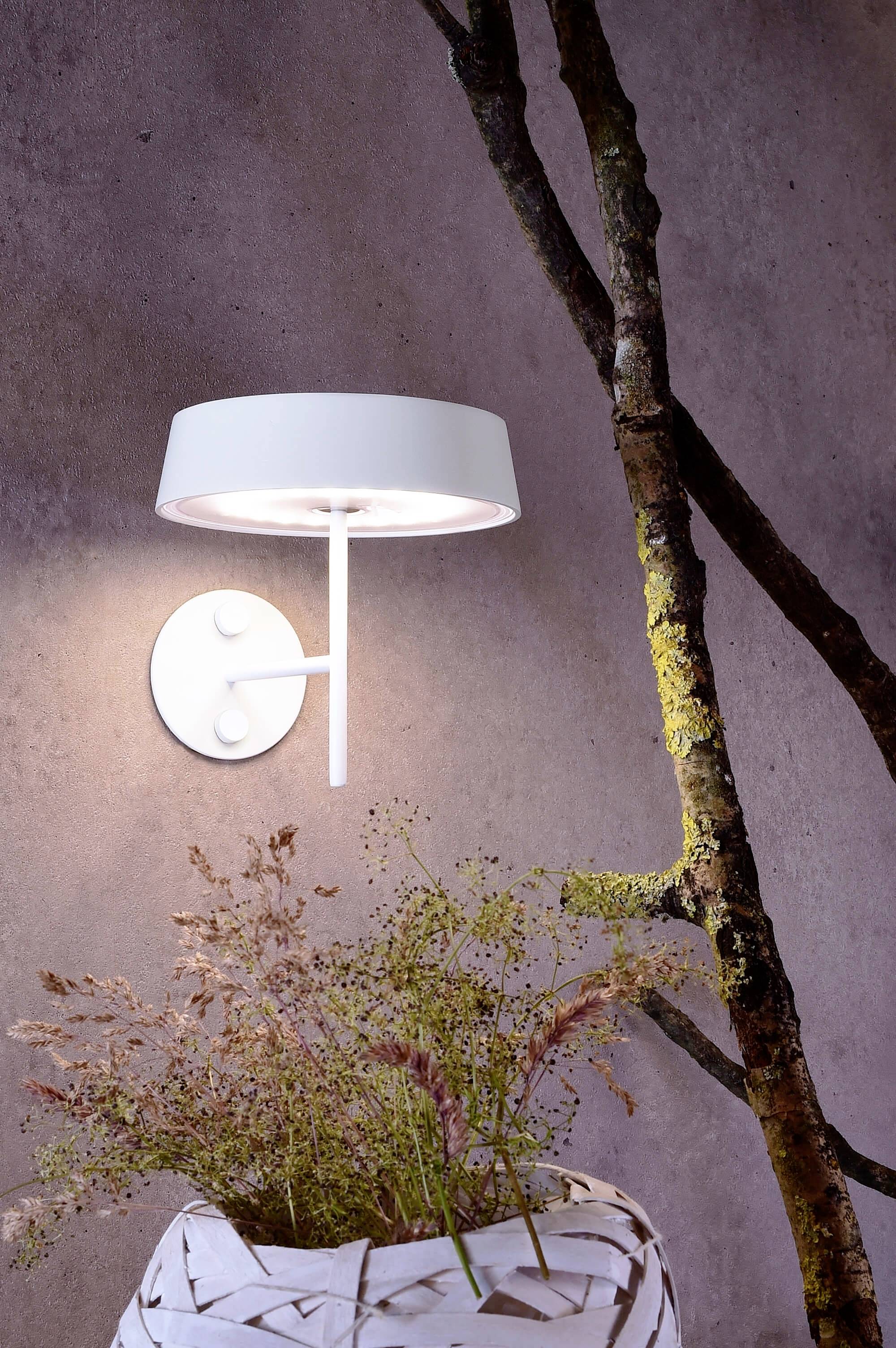 Eine weiße Wandlampe leuchtet auf einer rauen Betonwand. Daneben ein Ast und im Vordergrund eine weiße Vase mit getrockneten Gräsern.