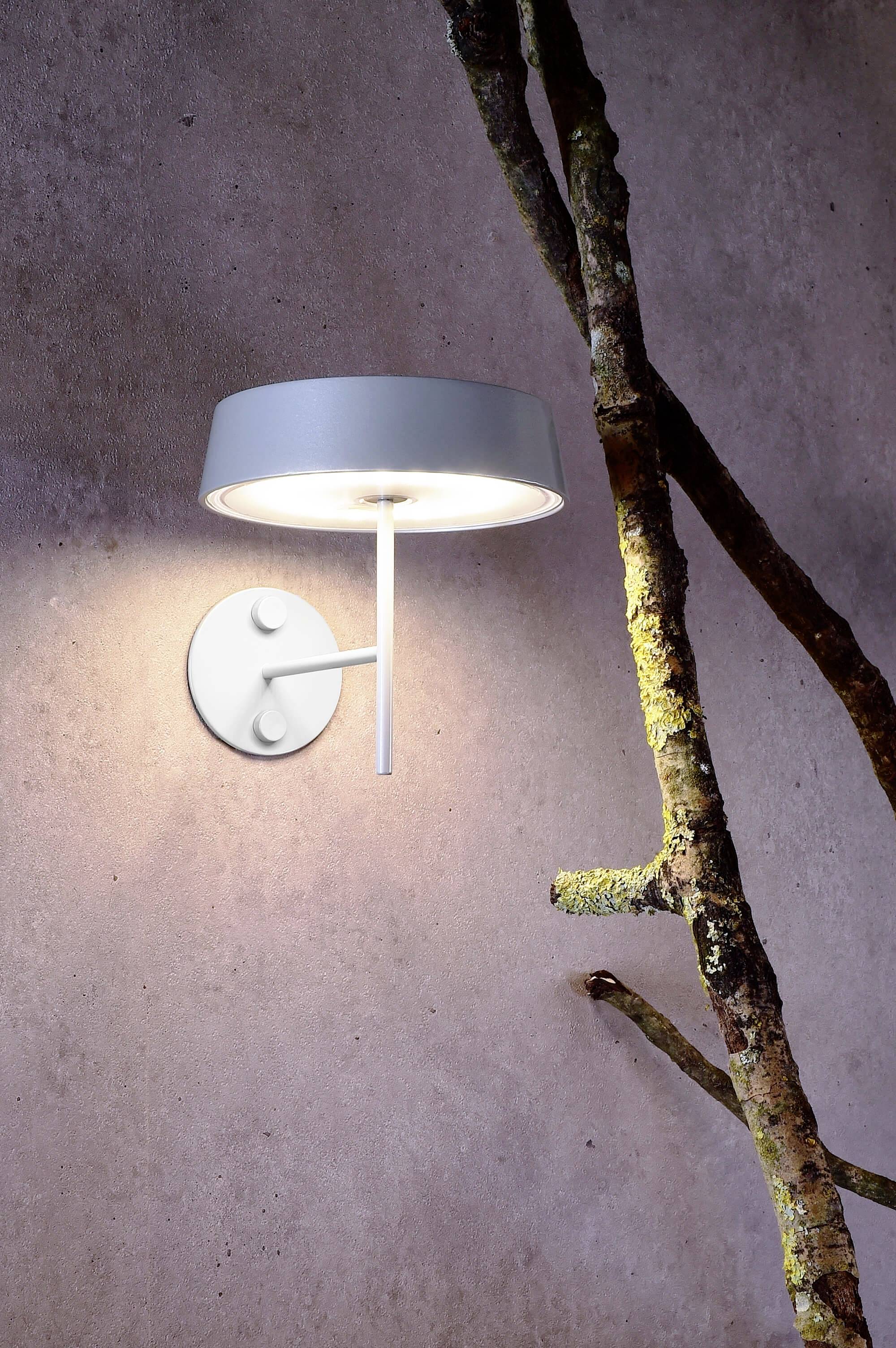 Eine moderne Wandlampe leuchtet an einer strukturierten Wand, neben einem mit Moos bedeckten Ast.