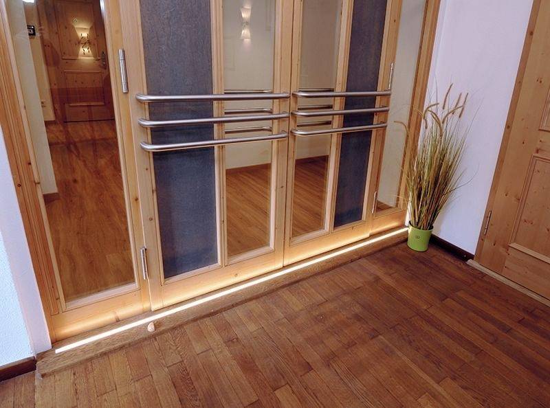 Doppelte Holztür mit Metallgriffen und Glasfenstern führt zu einem Raum mit Holzboden. Eine Pflanze steht rechts in einem grünen Topf.