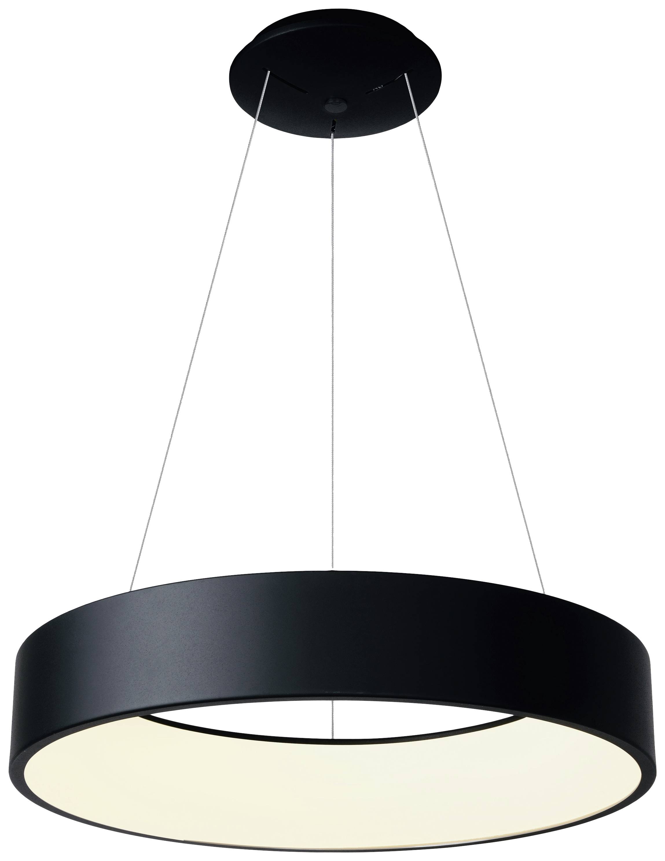 Deko Light Sculptoris 400 342184 Pendelleuchte LED LED fest eingebaut 30W Tiefschwarz (RAL 9005)