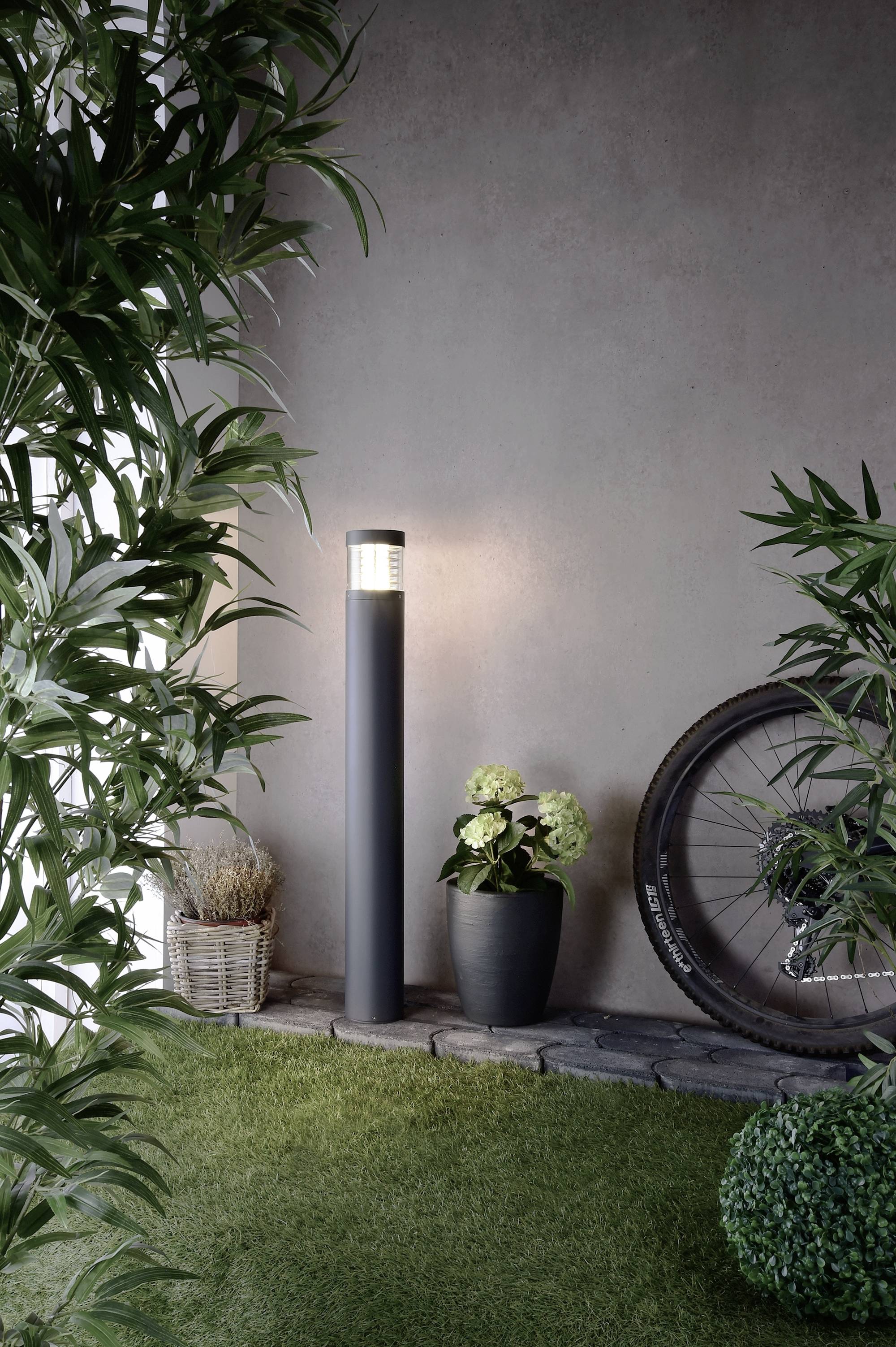 Eine Stehlampe beleuchtet eine Ecke mit grünen Pflanzen, einem Eimer voller Kieselsteine und einem Fahrradreifen gegen eine graue Wand.