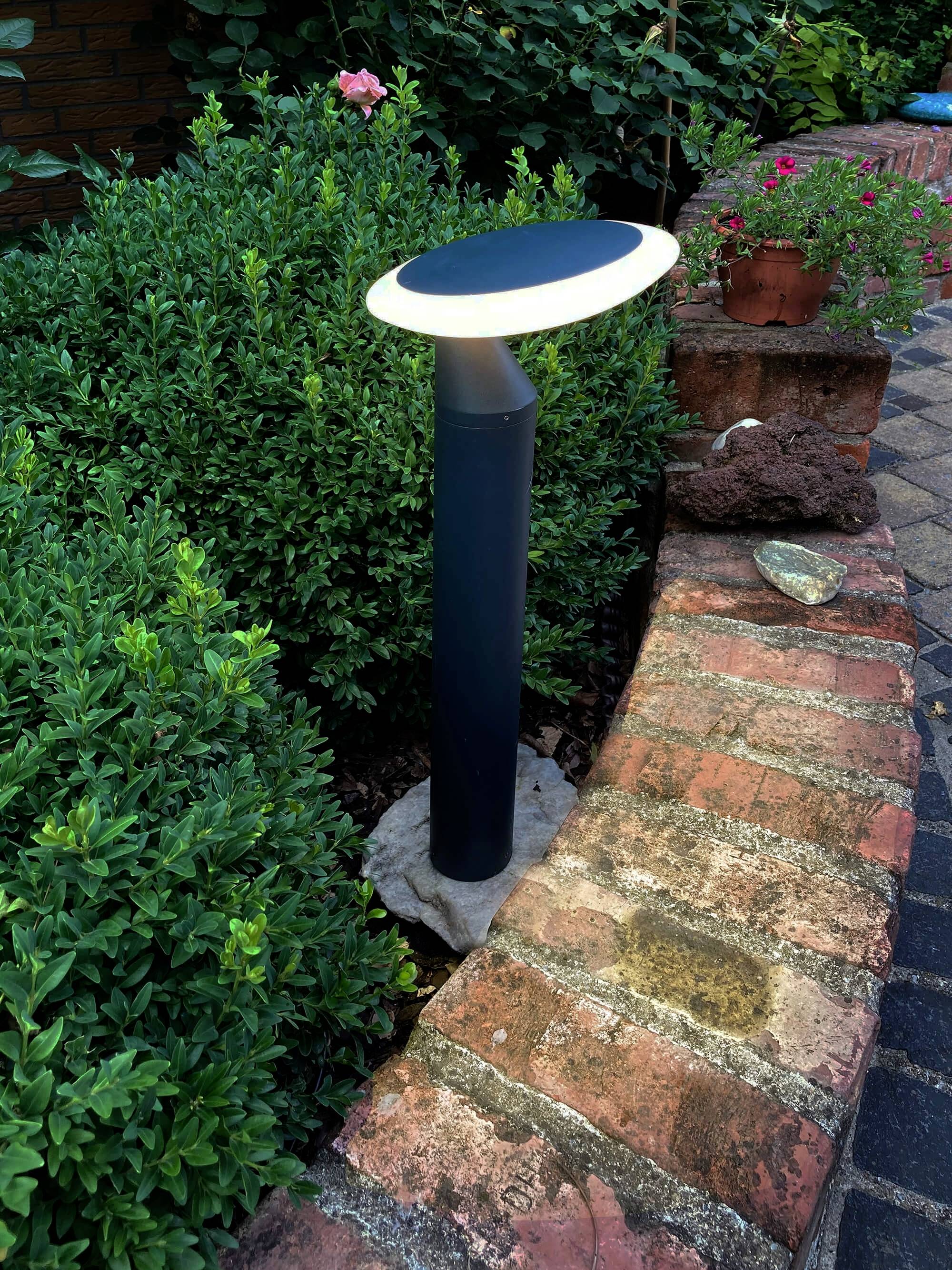 Eine moderne Gartenlampe beleuchtet einen Weg neben grünen Büschen und einem Ziegelsteinrand im Garten.