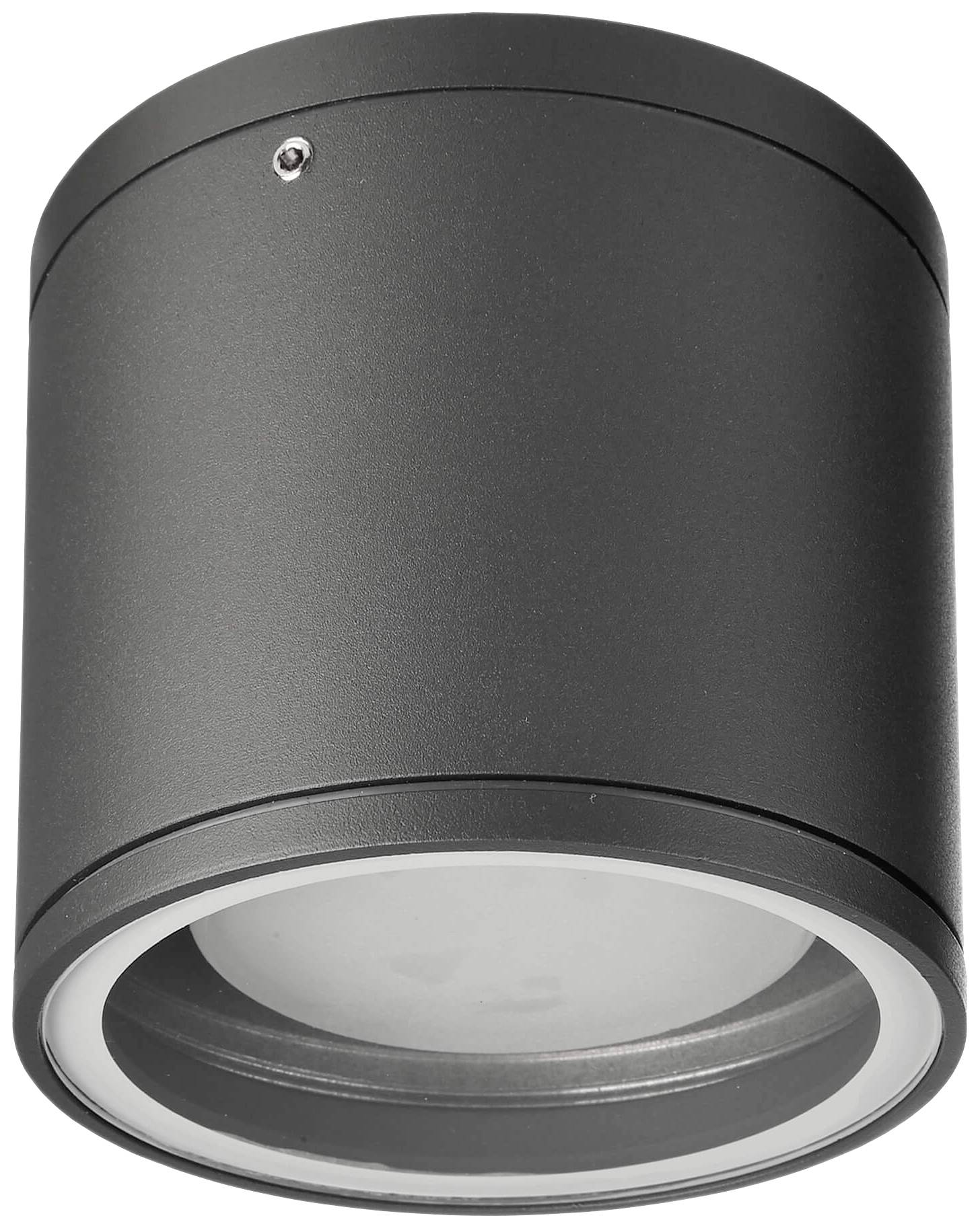 Schwarze zylindrische Deckenleuchte mit modernem Design und sichtbarem Glühbirnenbereich, zur Raumbeleuchtung geeignet.