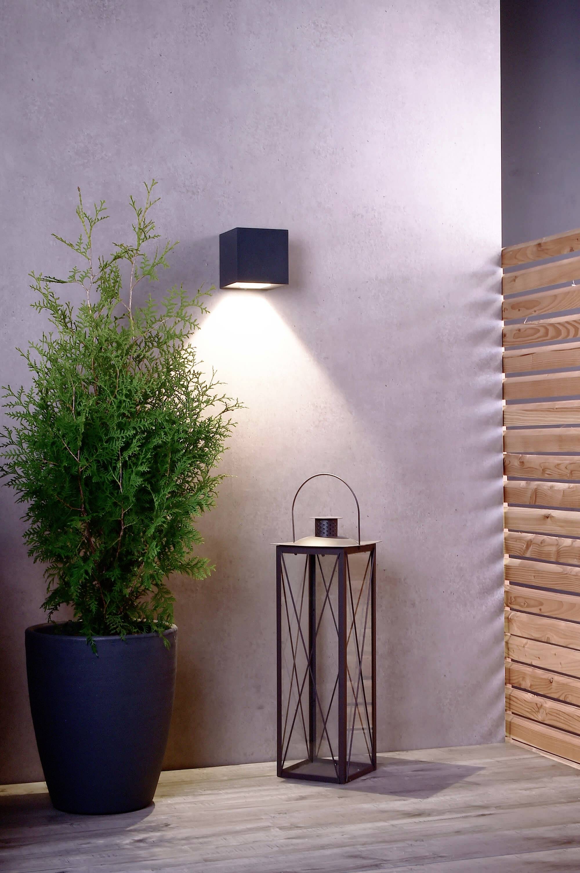 Ein moderner Raum mit einer schwarzen Wandlampe, die Licht auf eine Pflanze im dunklen Topf und eine schwarze Laterne auf dem Boden wirft.