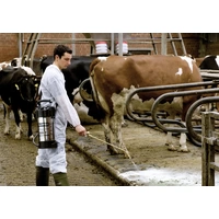 Gloria Haus und Garten 000506.0000 505 T Profiline Drucksprüher 5l Gloria Haus und Garten 000506.0000 505 T Profiline Drucksprüher 5l