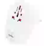 Skross 1.500290 Reiseadapter Country Adapter World to Europe USB C20PD Skross 1.500290 Reiseadapter Country Adapter World to Europe USB C20PD