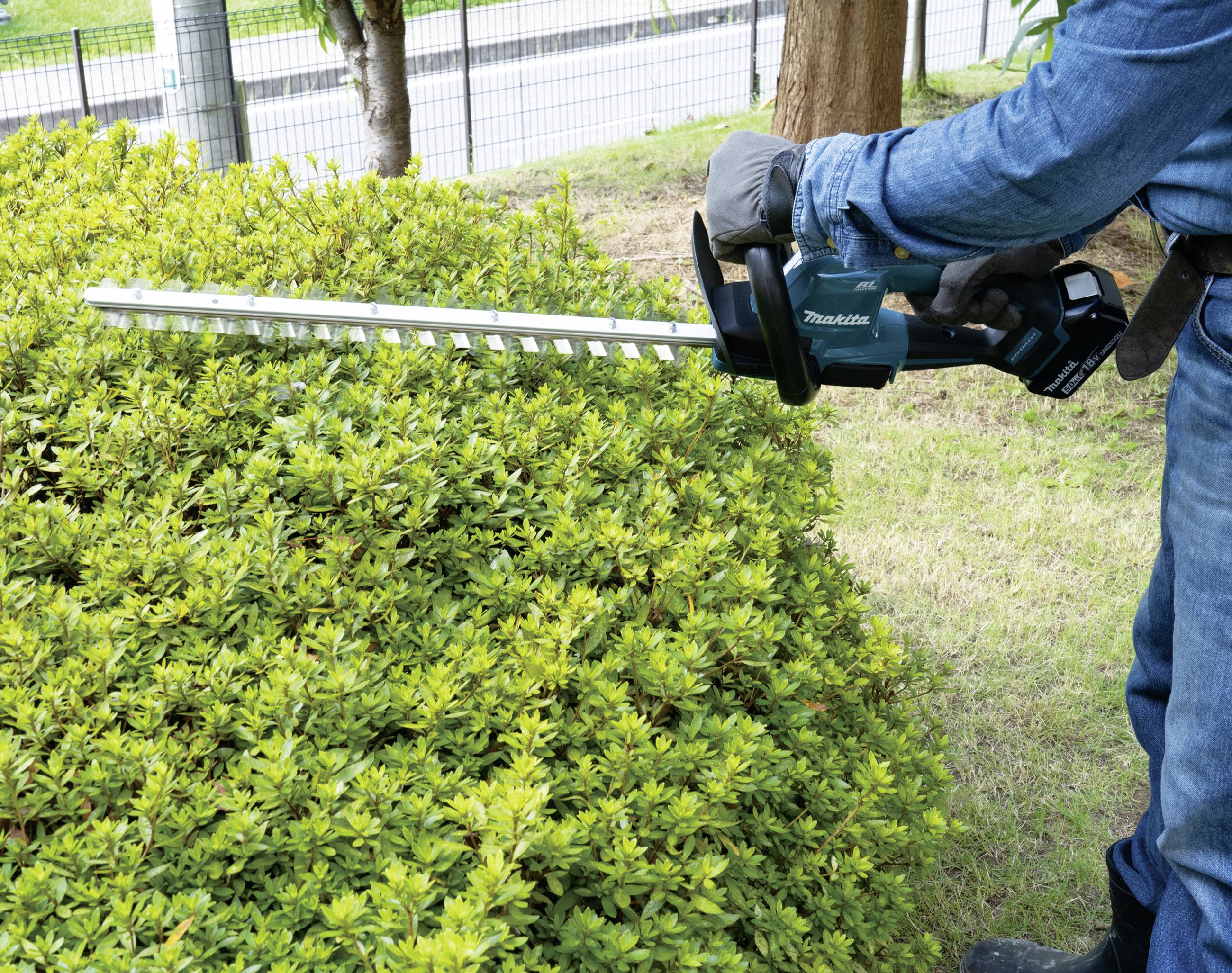 Person in Jeans und Handschuhen schneidet mit einer elektrischen Heckenschere einen grünen Busch im Garten.