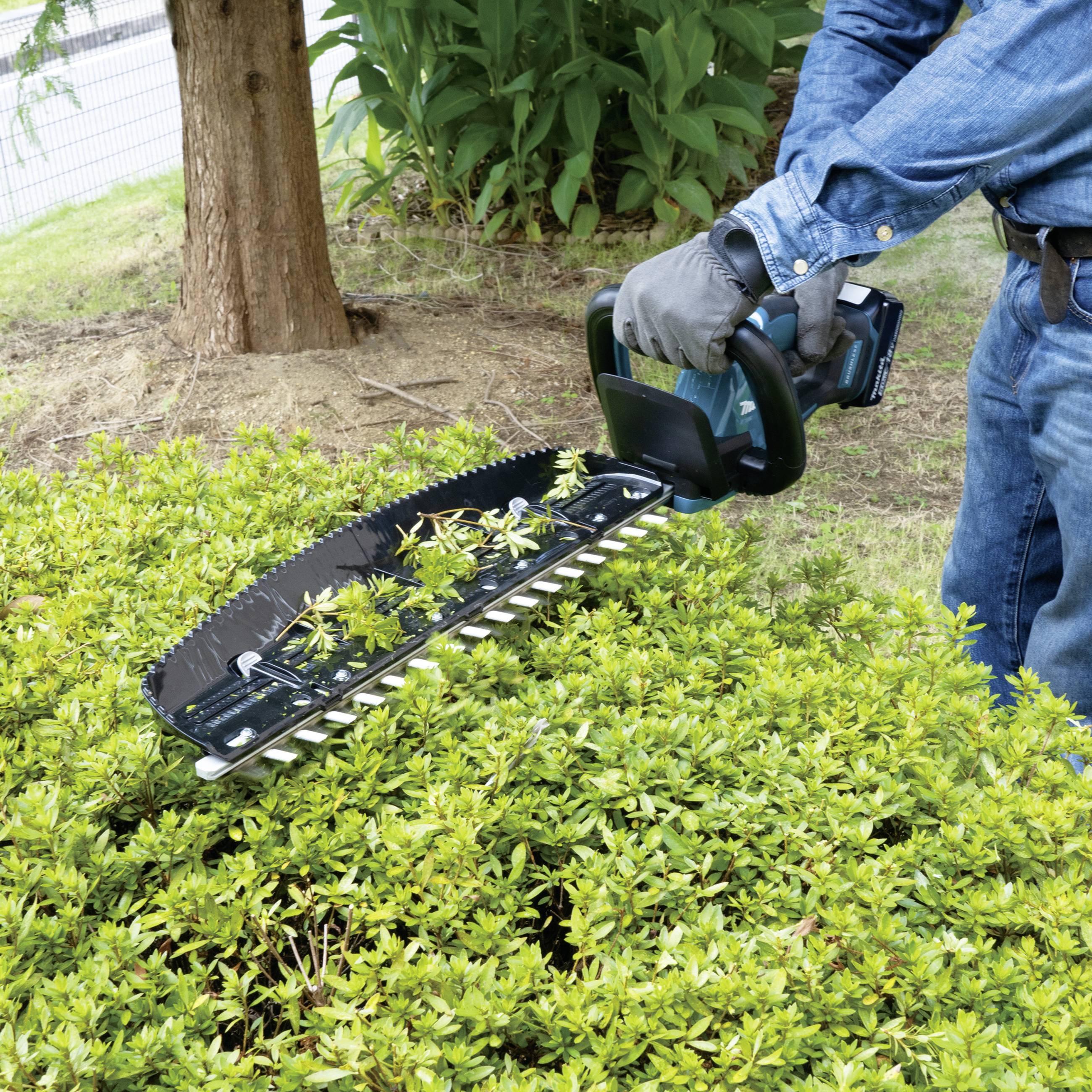 Eine Person schneidet mit einer elektrischen Heckenschere eine grüne Hecke. Sie trägt eine blaue Jacke und Handschuhe für Schutz.