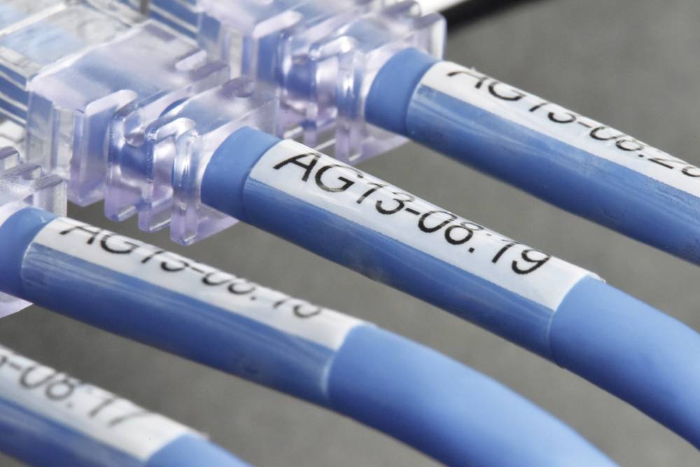 Nahaufnahme mehrerer blauer Ethernet-Kabel mit Beschriftung 'AG13-08.19' auf jedem Kabel, die in einen transparenten Anschluss eingesteckt sind.