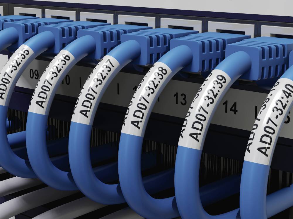 Nahaufnahme von blauen Ethernet-Kabeln, die in nummerierte Ports eines Netzwerk-Switches eingesteckt sind. Jedes Kabel hat eine Beschriftung.