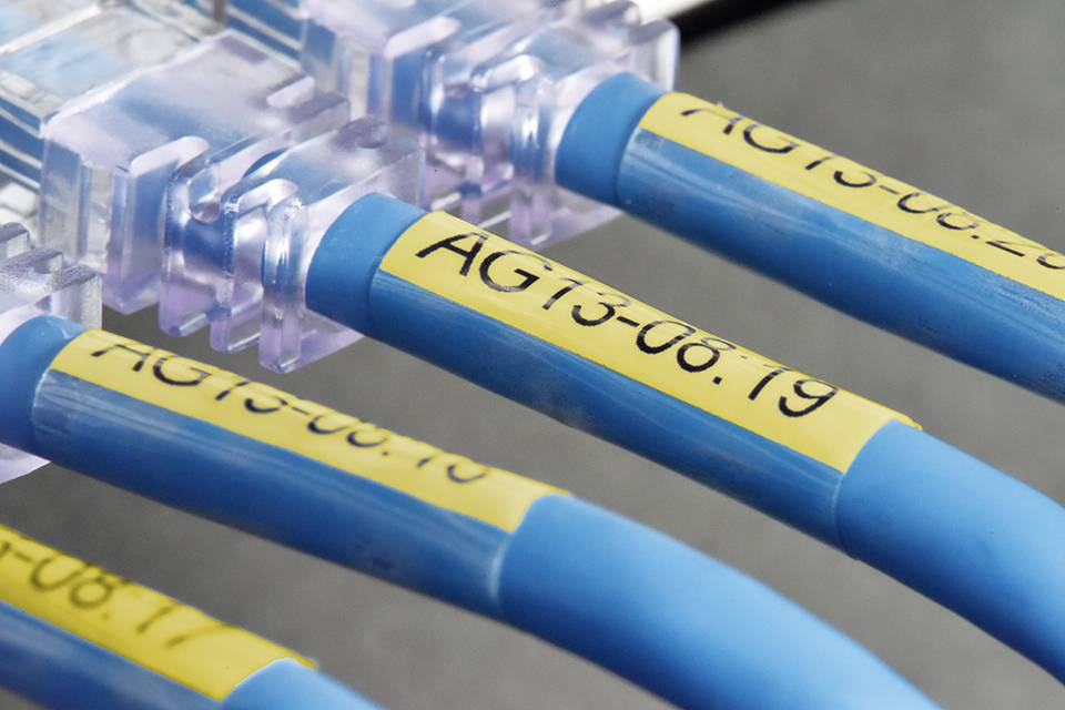 Nahaufnahme von vier blauen Ethernet-Kabeln, die mit gelben Etiketten beschriftet sind. Ein Kabel ist an einen transparenten Stecker angeschlossen.