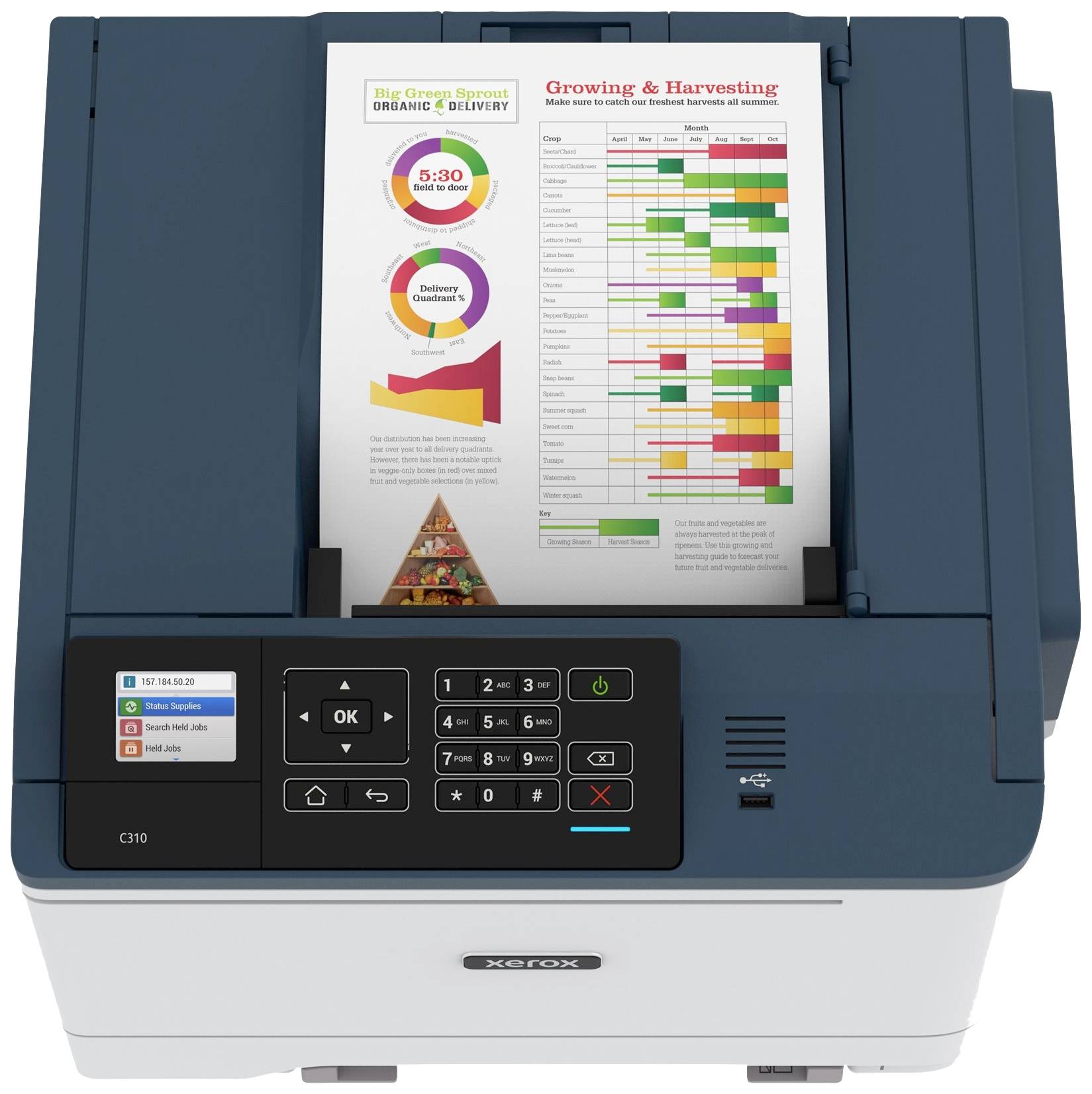 Xerox C310V Drucker Laser Farbe A4 35 S./min 35 S./min 1200 x 1200 dpi Duplex, LAN, USB, WLAN