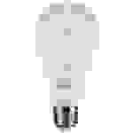 V-TAC 217352 LED EEK F (A - G) E27 Glühlampenform 10.50 W Tageslichtweiß (Ø x H) 60 mm x 110 mm 3