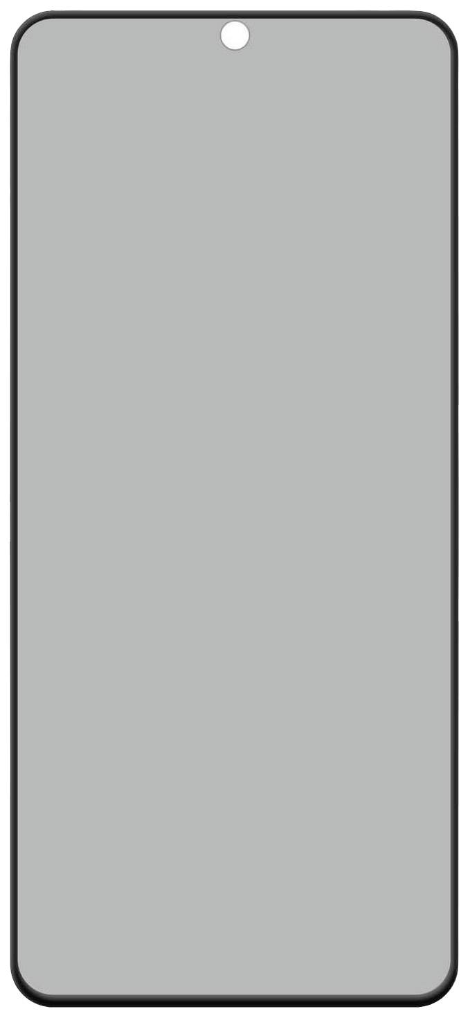 DISPLEX Displayschutzglas mit Blickschutz Samsung Galaxy S22+, Galaxy S23+ 1 St. kratzfest 01776