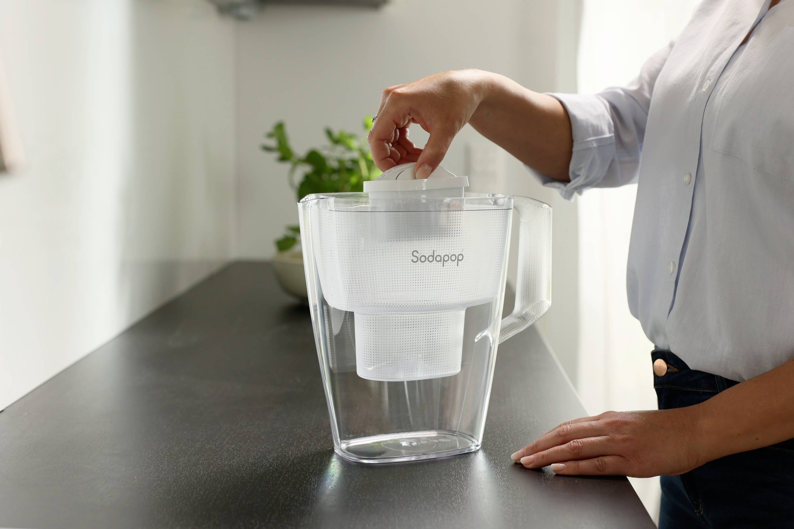 Person füllt einen Wasserkrug mit Filter auf einer Küche auf. Im Hintergrund sind Pflanzen auf einer Arbeitsplatte zu sehen.