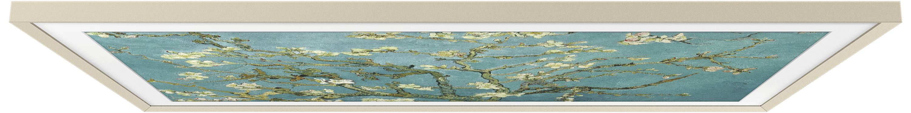 Samsung VG-SCFC55SGMXC TV Rahmen