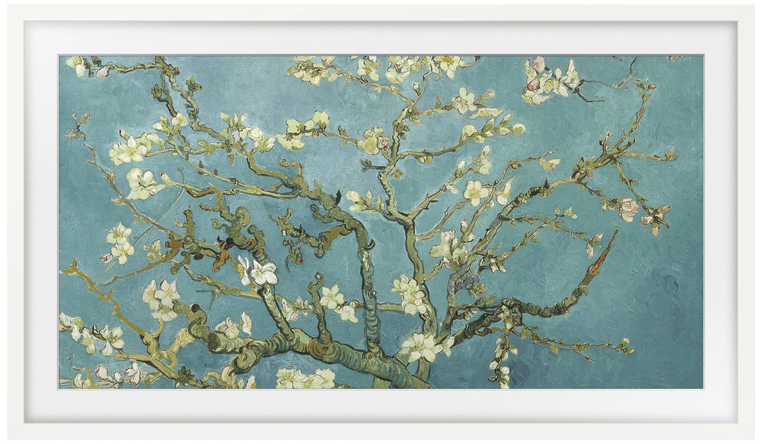 Ein blühender Mandelbaum mit knorrigen Ästen auf einem türkisfarbenen Hintergrund, inspiriert von Van Goghs Stil.