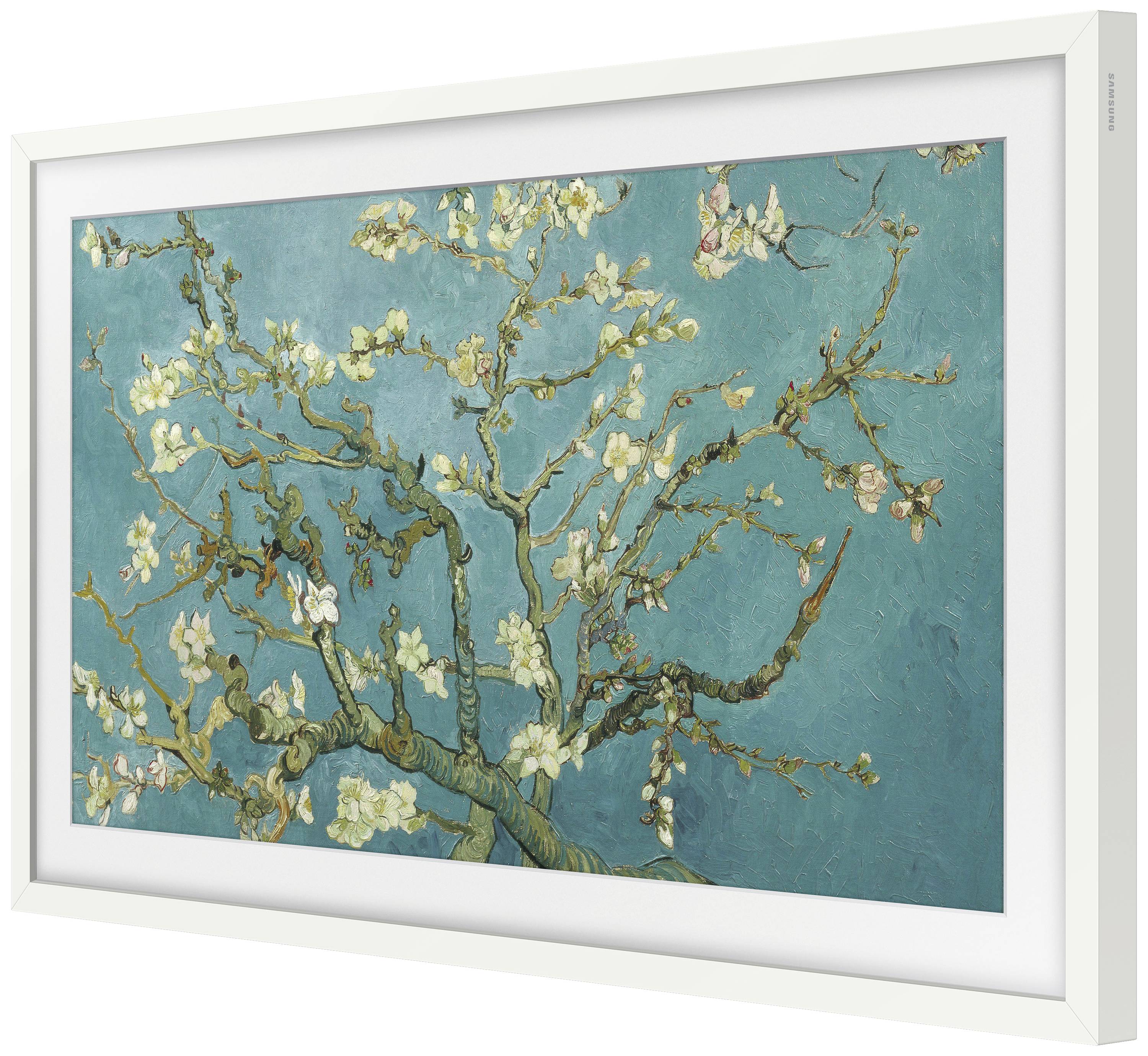 Ein Gemälde eines blühenden Mandelbaums mit geschwungenen Ästen vor einem blauen Hintergrund. Inspirierend und naturverbunden.