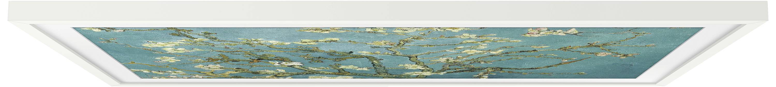 Blühender Zweig eines Mandelbaums auf hellblauem Hintergrund, inspiriert von einem berühmten Gemälde.